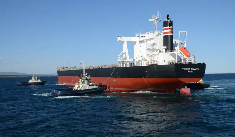 LOWLANDS GREEN Bulk Carrier IMO 9591595 photo 7