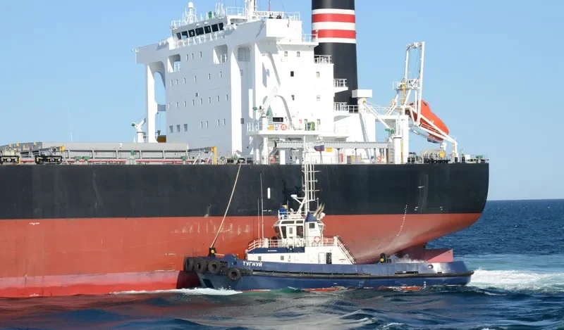 LOWLANDS GREEN Bulk Carrier IMO 9591595 photo 8