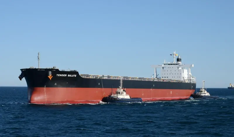 LOWLANDS GREEN Bulk Carrier IMO 9591595 photo 9