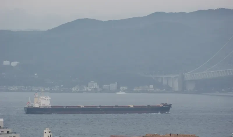 VENUS HISTORY Bulk Carrier IMO 9591600 photo 2