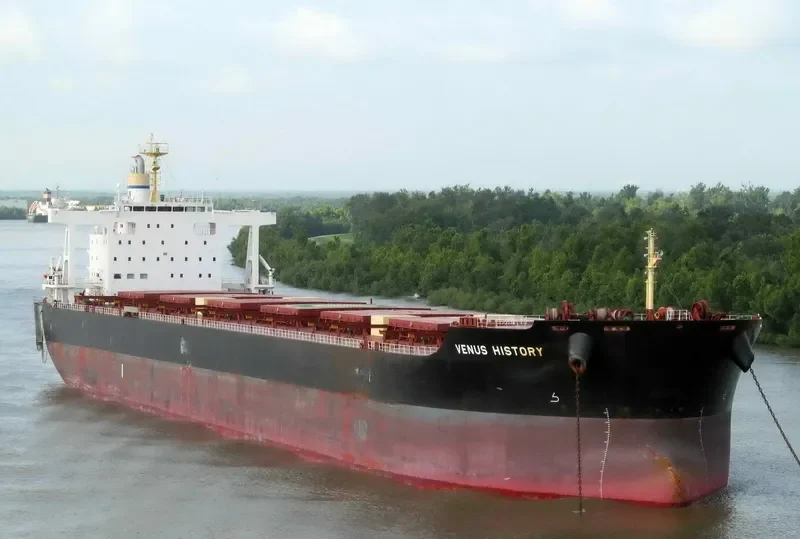 VENUS HISTORY Bulk Carrier IMO 9591600 photo 4