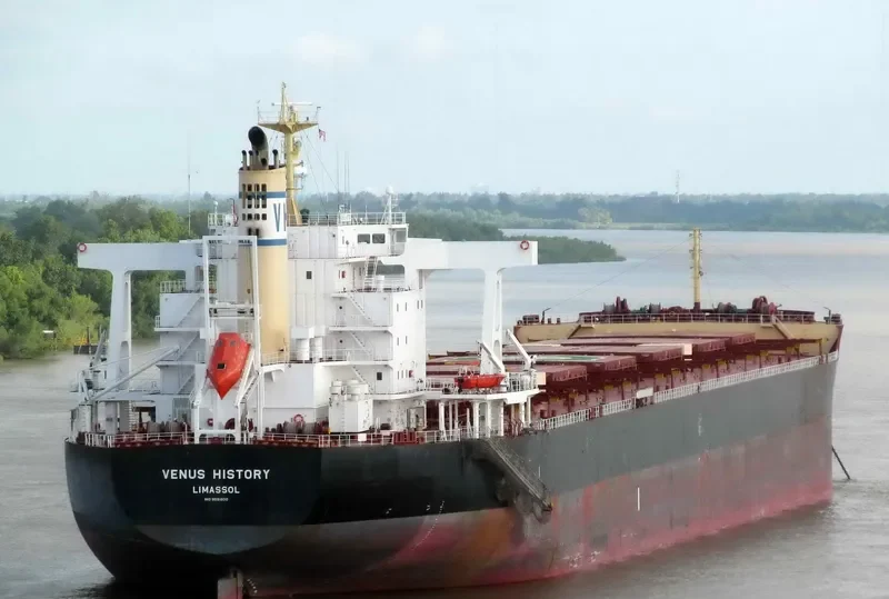 VENUS HISTORY Bulk Carrier IMO 9591600 photo 7