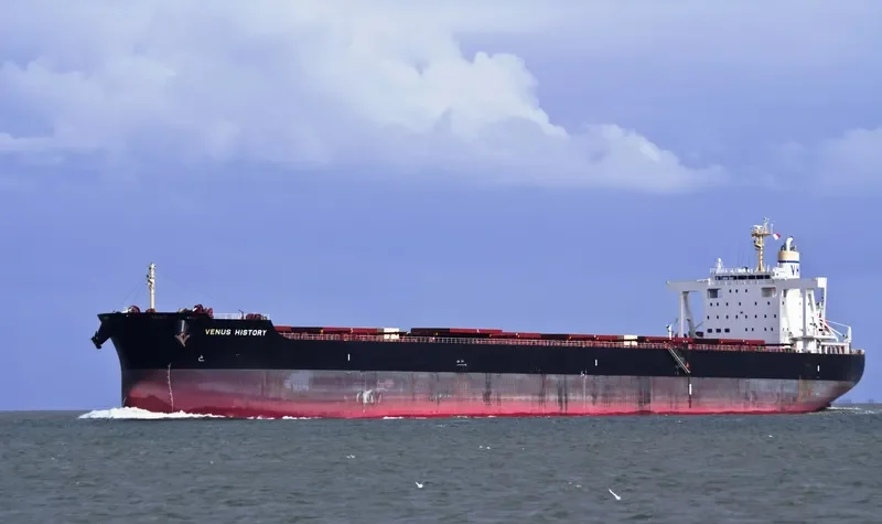 VENUS HISTORY Bulk Carrier IMO 9591600 photo 10