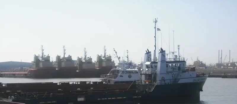 GO SEARCHER Offshore Vessel IMO 9591648 photo 6
