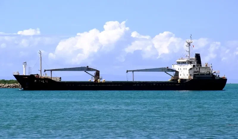 ROYAL 18 Bulk Carrier IMO 9591662 photo 7