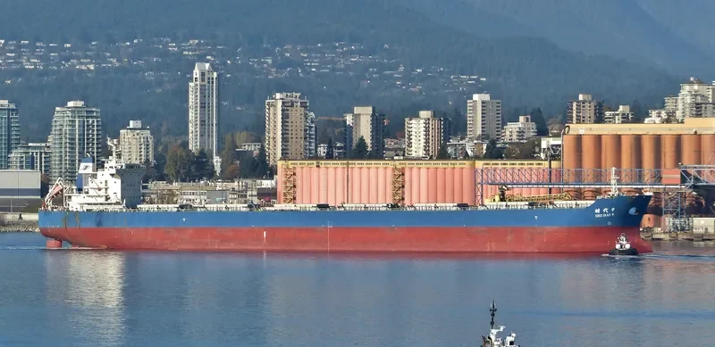 SHI DAI 9 Bulk Carrier IMO 9591703 photo 3