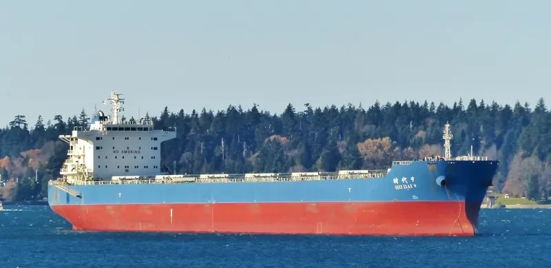 SHI DAI 9 Bulk Carrier IMO 9591703 photo 6