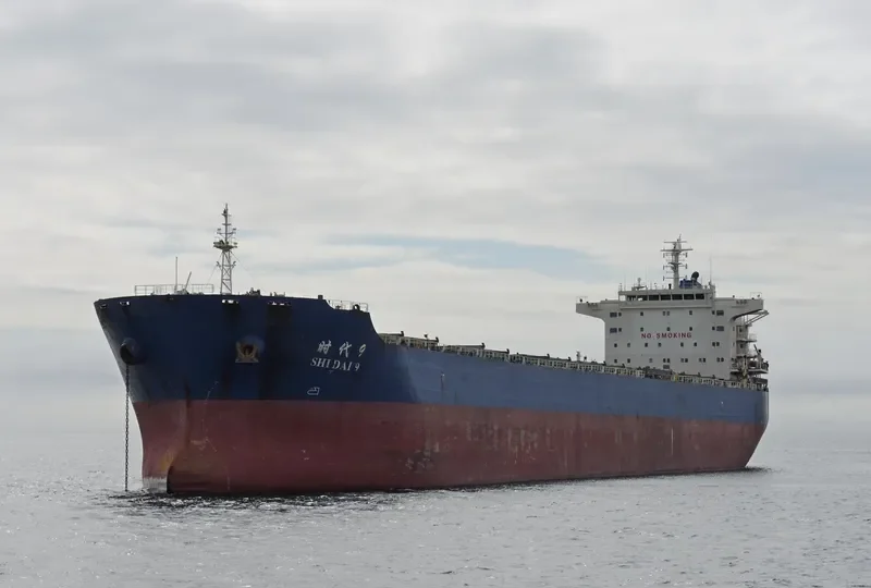 SHI DAI 9 Bulk Carrier IMO 9591703 photo 9