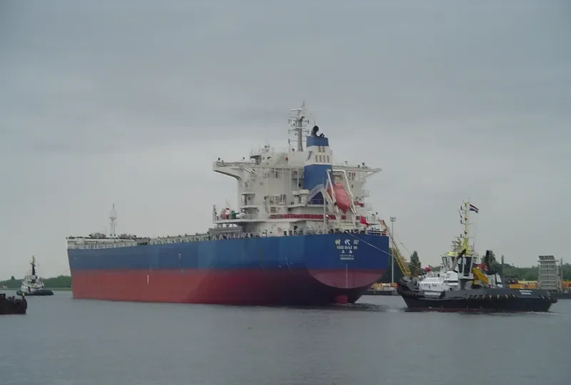 SHI DAI 10 Bulk Carrier IMO 9591715 photo 3