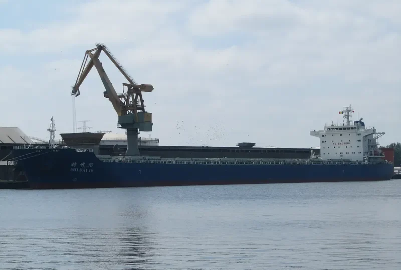 SHI DAI 10 Bulk Carrier IMO 9591715 photo 6
