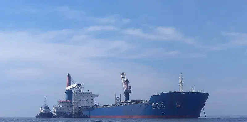 SHI DAI 10 Bulk Carrier IMO 9591715 photo 7