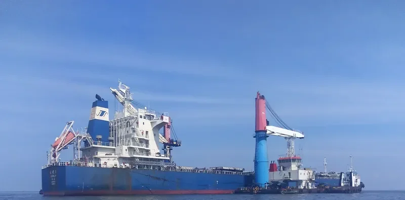 SHI DAI 10 Bulk Carrier IMO 9591715 photo 8