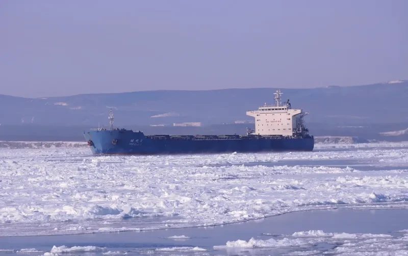 SHI DAI 11 Bulk Carrier IMO 9591727
