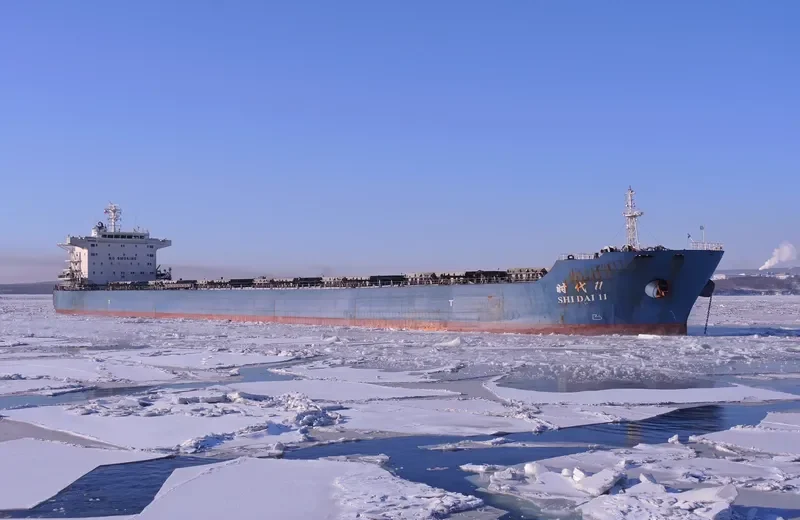 SHI DAI 11 Bulk Carrier IMO 9591727 photo 2