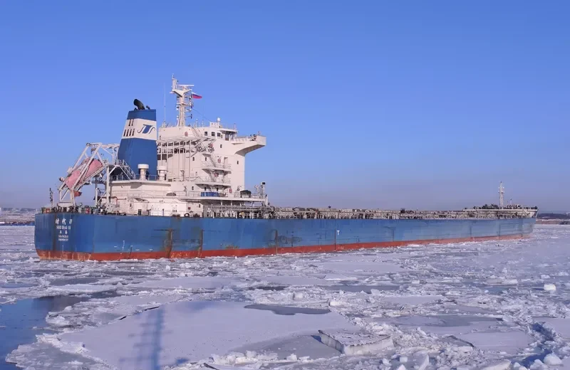 SHI DAI 11 Bulk Carrier IMO 9591727 photo 3