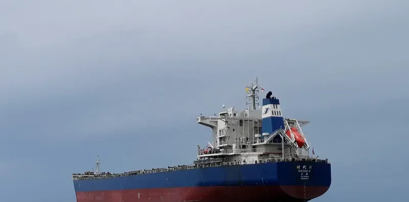 SHI DAI 11 Bulk Carrier IMO 9591727 photo 8