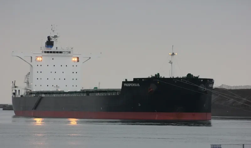 BEKS ISTANBUL Bulk Carrier IMO 9591741 photo 4