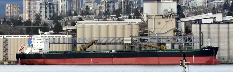 ANTWERPIA Bulk Carrier IMO 9591753 photo 2