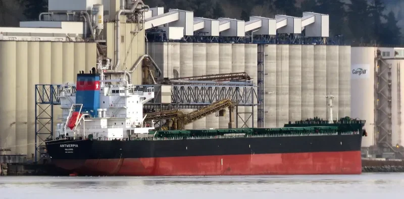 ANTWERPIA Bulk Carrier IMO 9591753 photo 3