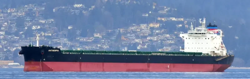 ANTWERPIA Bulk Carrier IMO 9591753 photo 4