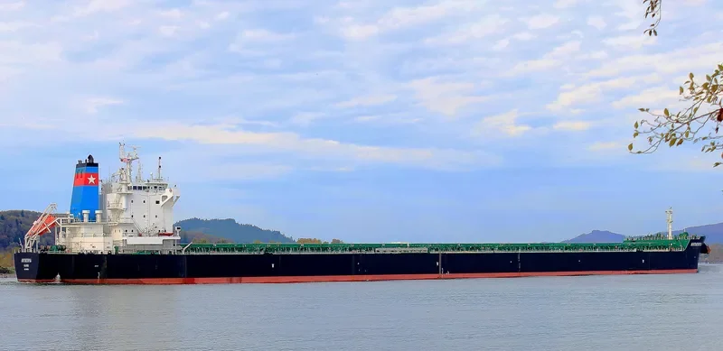 ANTWERPIA Bulk Carrier IMO 9591753 photo 8