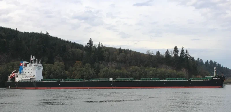 ANTWERPIA Bulk Carrier IMO 9591753 photo 9