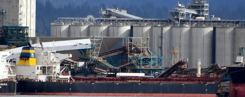 MBA ROSARIA Bulk Carrier IMO 9591765 photo 7