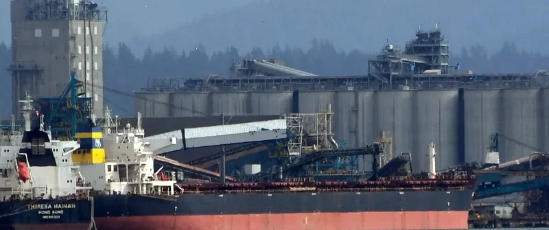 MBA ROSARIA Bulk Carrier IMO 9591765 photo 9