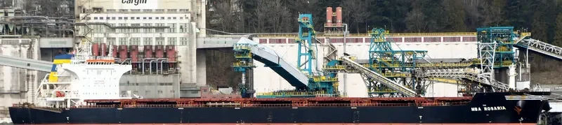 MBA ROSARIA Bulk Carrier IMO 9591765 photo 10