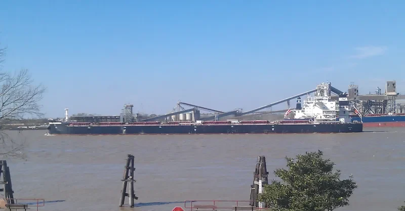 THERESA GUANGDONG Bulk Carrier IMO 9591818 photo 2