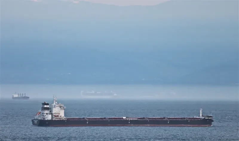 THERESA GUANGDONG Bulk Carrier IMO 9591818 photo 3