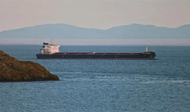 THERESA GUANGDONG Bulk Carrier IMO 9591818 photo 4