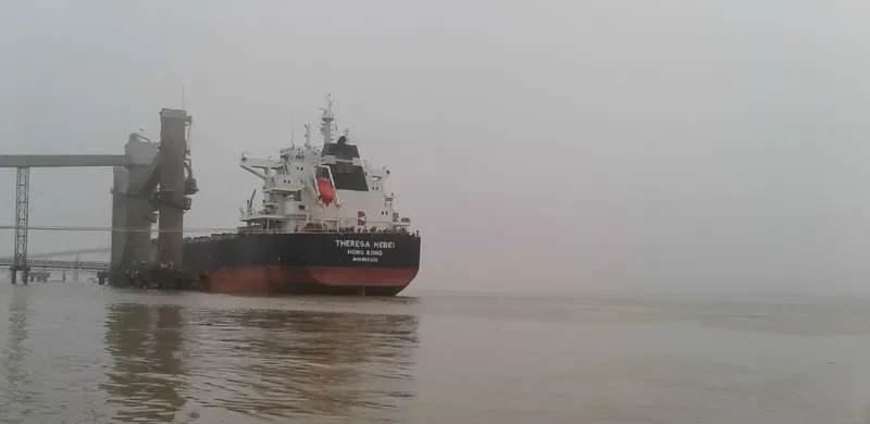 THERESA HEBEI Bulk Carrier IMO 9591832