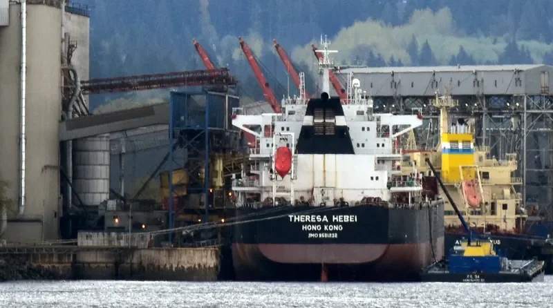 THERESA HEBEI Bulk Carrier IMO 9591832 photo 3