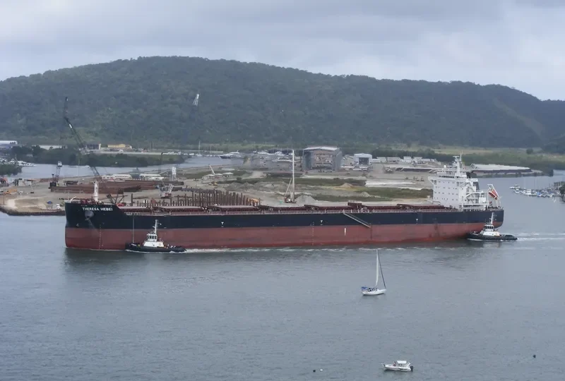 THERESA HEBEI Bulk Carrier IMO 9591832 photo 6