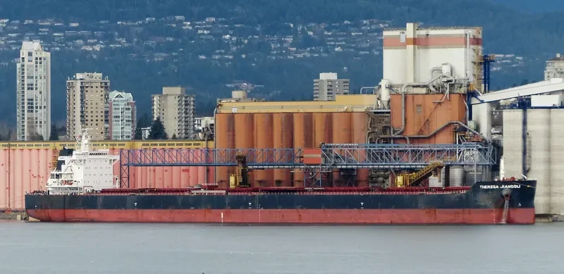 THERESA JIANGSU Bulk Carrier IMO 9591844