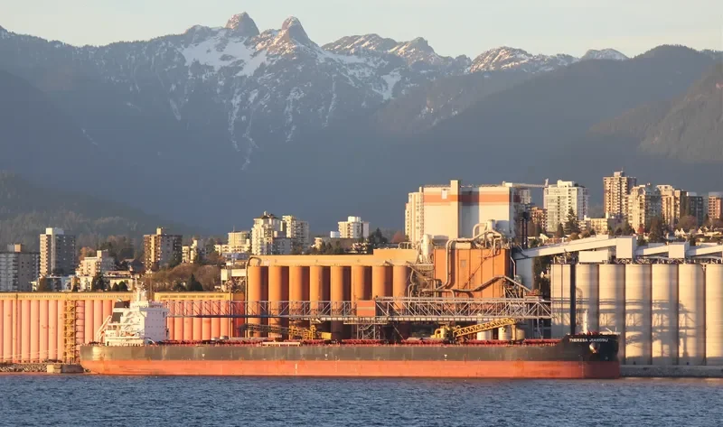 THERESA JIANGSU Bulk Carrier IMO 9591844 photo 2
