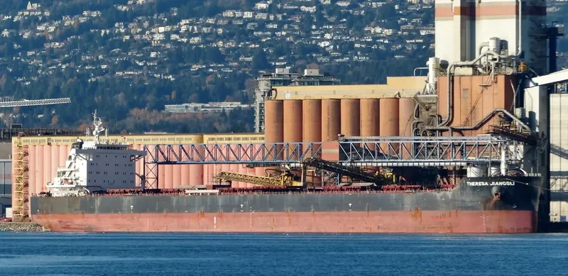 THERESA JIANGSU Bulk Carrier IMO 9591844 photo 4