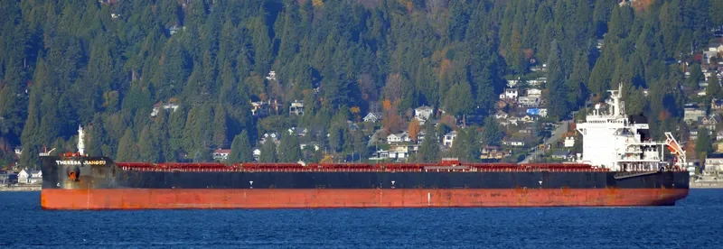 THERESA JIANGSU Bulk Carrier IMO 9591844 photo 8