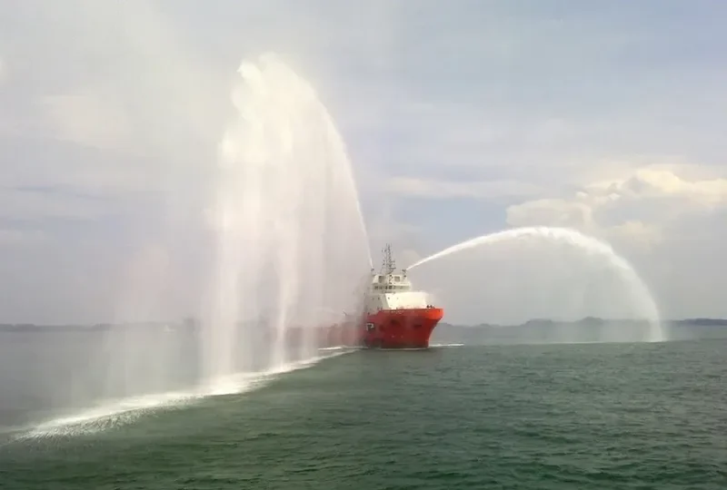 HAI DUONG 29 Multi-Purpose Vessel IMO 9591911