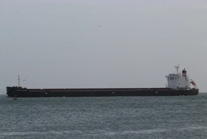CORAL JASPER Bulk Carrier IMO 9591961 photo 5