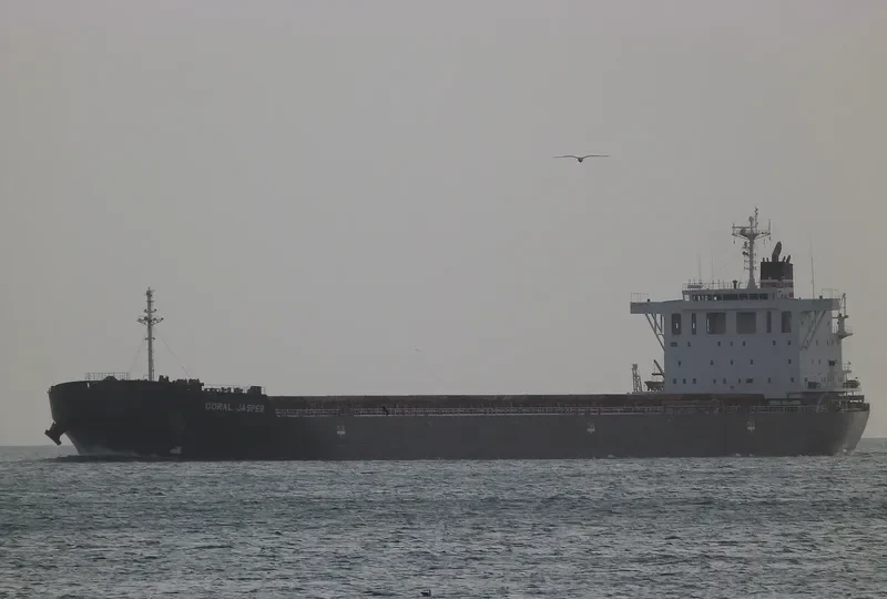 CORAL JASPER Bulk Carrier IMO 9591961 photo 6