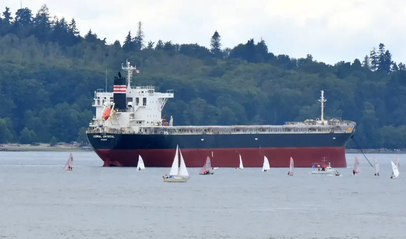 CORAL CRYSTAL Bulk Carrier IMO 9591985 photo 6