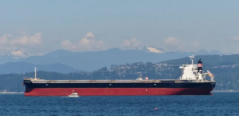CORAL CRYSTAL Bulk Carrier IMO 9591985 photo 7