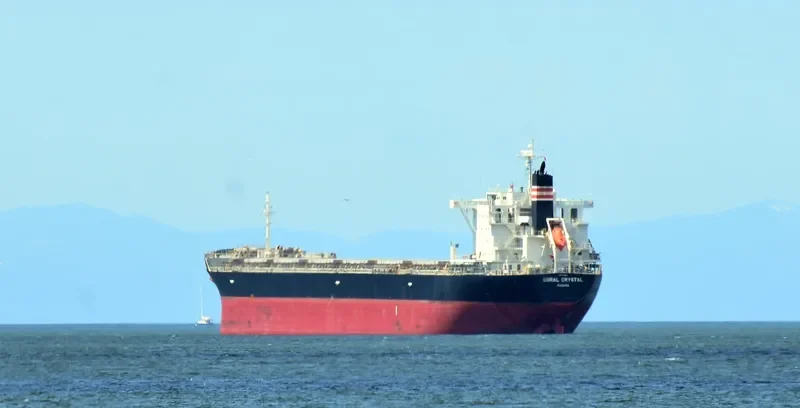 CORAL CRYSTAL Bulk Carrier IMO 9591985 photo 8