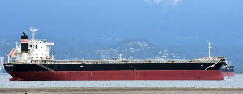 CORAL CRYSTAL Bulk Carrier IMO 9591985 photo 9