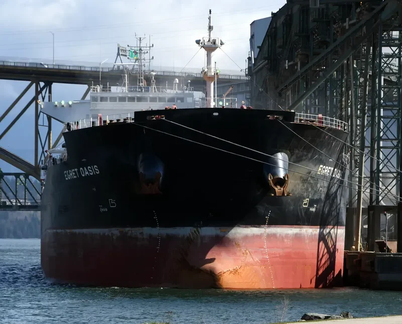 EGRET OASIS Bulk Carrier IMO 9592006 photo 2