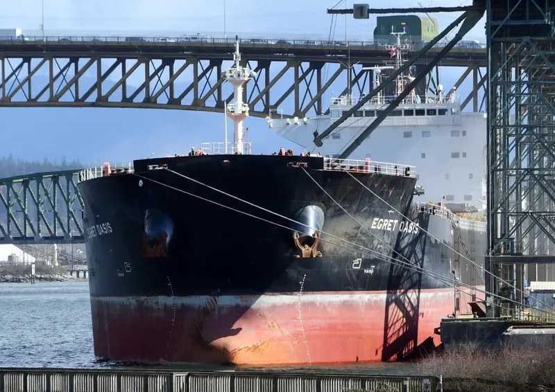 EGRET OASIS Bulk Carrier IMO 9592006 photo 4