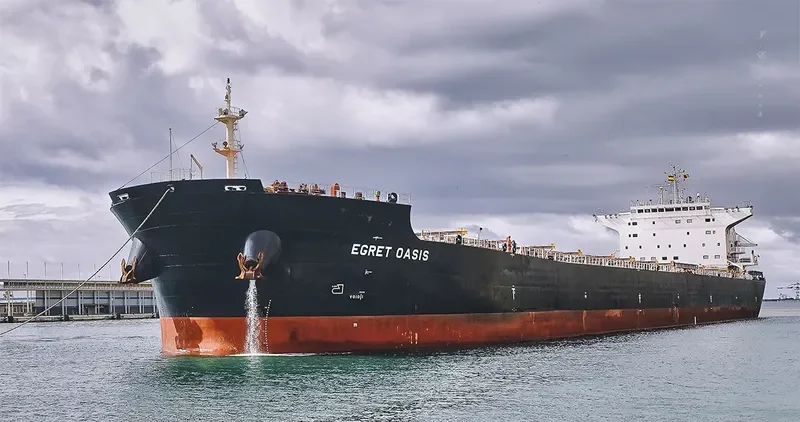 EGRET OASIS Bulk Carrier IMO 9592006 photo 6