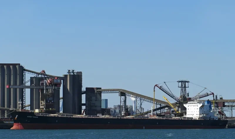 EGRET OASIS Bulk Carrier IMO 9592006 photo 7